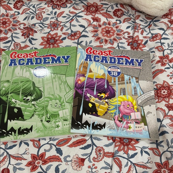 beast Academy Other - Math Guide 3B - Green and Gray